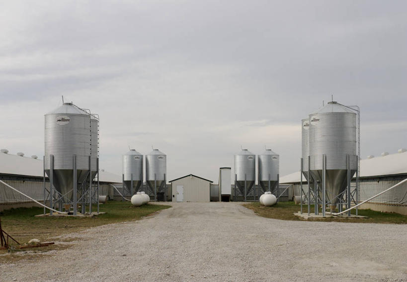 无人,工厂,横图,室外,白天,农业,建筑,美国,储油罐,工业,摄影,北美,北美洲,美洲,工业建筑,北亚美利加洲,亚美利加洲,美利坚合众国,爱荷华