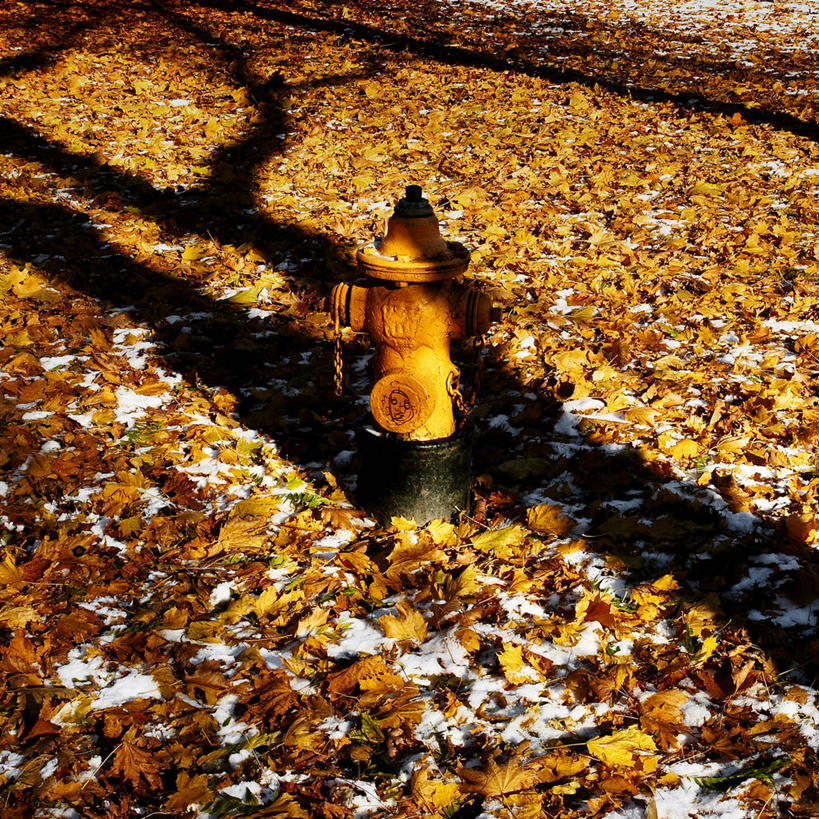 无人,方图,俯视,室外,白天,水,雪,消防栓,叶子,加拿大,金属,自然,摄影,保护,环境,改变,干的,多伦多,安大略省,秋天,高角度拍摄,安全设备