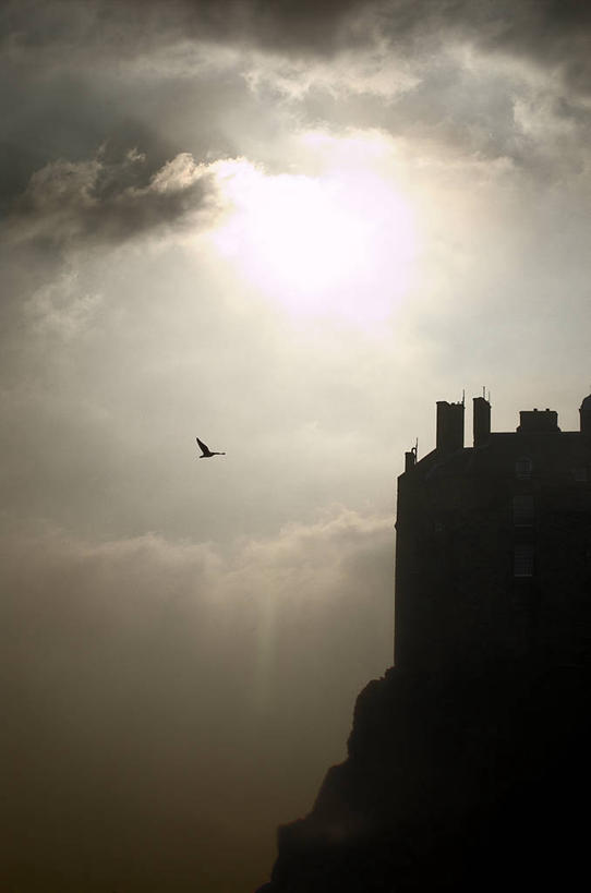 无人,竖图,室外,白天,自由,鹅,野生动物,英国,首都,飞,爱丁堡城堡,黄昏,动物,摄影,北欧,剪影,逆光,爱丁堡,旅行