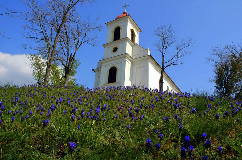 无人,教堂,横图,室外,白天,仰视,美景,山,建筑,景观,云,草,花,树,天空,自然,景色,摄影,宗教,环境,脆弱,基督教,宗教建筑,自然风光,胸肌,匈牙利共和国,低角度拍摄,旅行