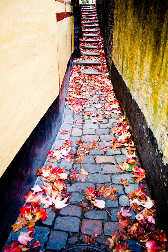 无人,竖图,俯视,室外,白天,叶子,丹麦,人行道,围墙,台阶,摄影,脆弱,改变,斯堪狄纳维亚半岛,奥尔堡,秋天,高角度拍摄