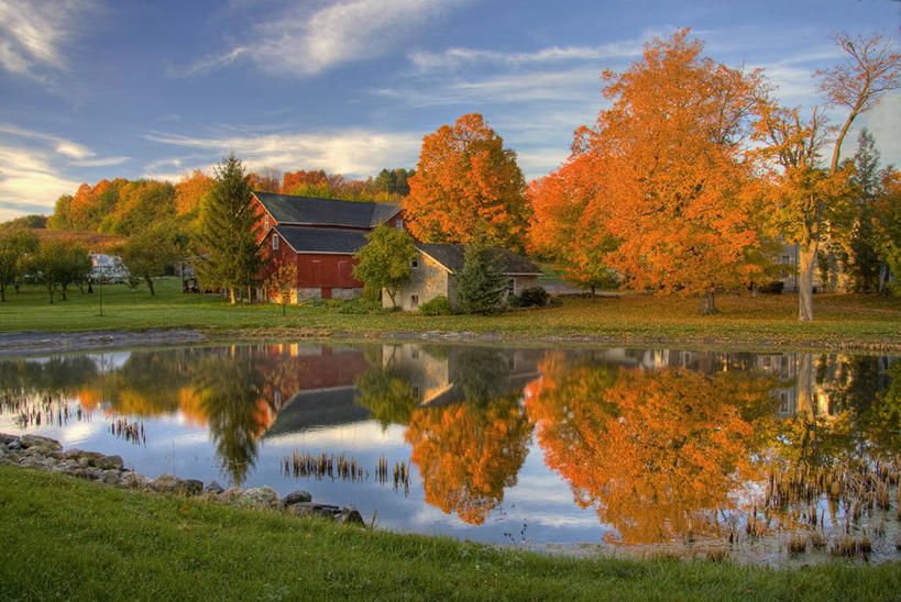 无人,横图,室外,白天,美景,浆果,美国,对称,反射,池塘,景观,云,树,风景,天空,自然,景色,摄影,宁静,环境,自然风光,改变,接骨木,纽约州,完美,秋天,旅行