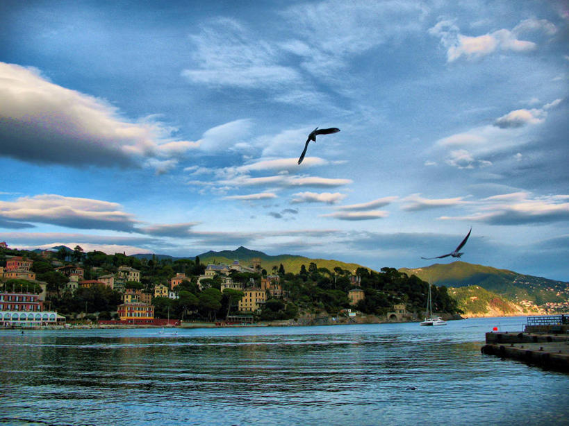 无人,横图,室外,白天,自由,美景,山,船,海鸟,海鸥,意大利,欧洲,反射,鸟类,景观,云,天空,自然,景色,摄影,南欧,自然风光,意大利文化,意大利共和国,热内亚,热那亚,利古里亚,利古里亚大区,热那亚省,旅行