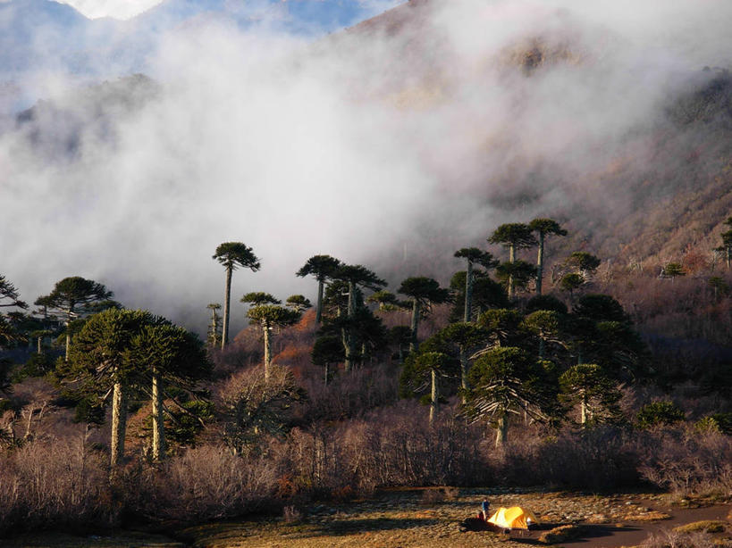 横图,室外,白天,山,雾,智利,帐篷,树,自然,南美,摄影,环境,南美洲,拉丁美洲,美洲,露营,户外活动,亚美利加洲,南亚美利加洲,智利共和国,冒险,旅行,独处,比奥比奥河