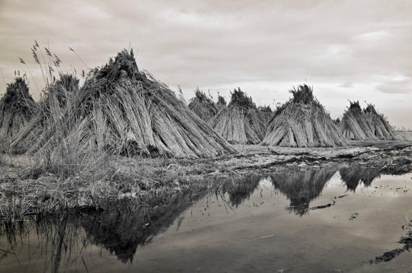 无人,横图,室外,农业,水,丰富,反射,云,干草,草,排列,天空,自然,黄昏,摄影,堆,环境,沼泽,潘塔纳尔湿地,匈牙利共和国