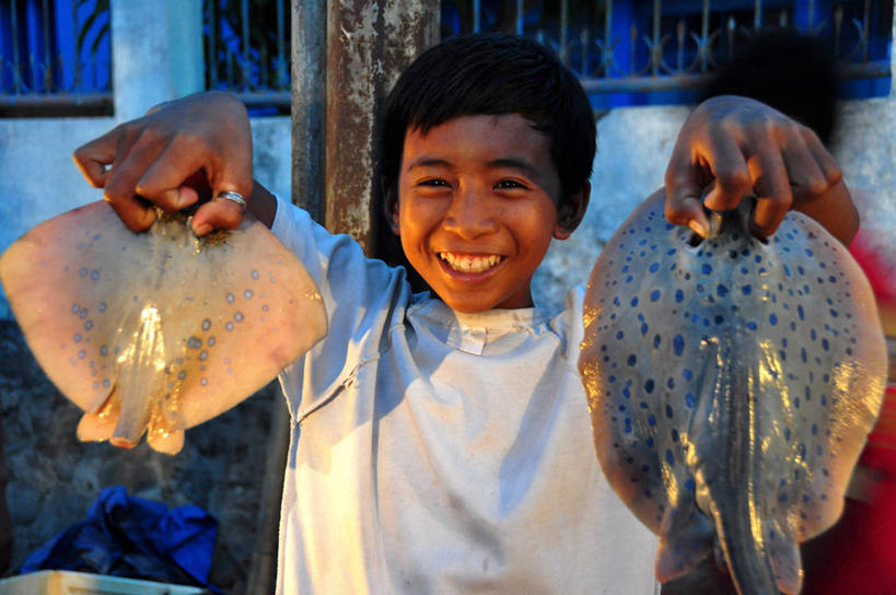 东方人,儿童,脸,头,脸颊,一个人,站,笑,微笑,露齿笑,横图,室外,夜晚,正面,快乐,幸福,纯洁,消费,印度尼西亚,亚洲,仅一个男性,仅一个人,食品,市场,拿着,休闲装,黄种人,货摊,鱼类,肩膀,小孩,衣服,动物,仅一个小孩,两只,可爱,童年,童趣,摄影,享乐,肖像,出示,贩卖,童真,烂漫,无邪,南苏拉威西省,天真,男孩,男人,男性,马来西亚人,亚洲人,孩子,头部,脸部,脸蛋,面部,休闲活动,海产,鱼市,男生,望加锡