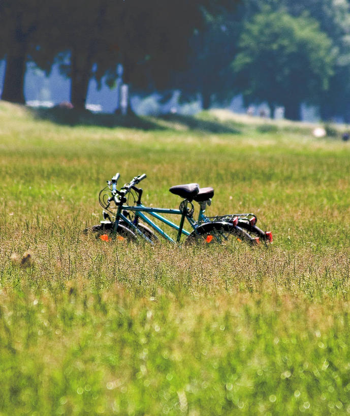 无人,竖图,室外,白天,自行车,德国,欧洲,田地,草,自然,运输,摄影,宁静,环境,西欧,中欧,德意志联邦共和国,北威州,北莱茵.威斯特法伦州