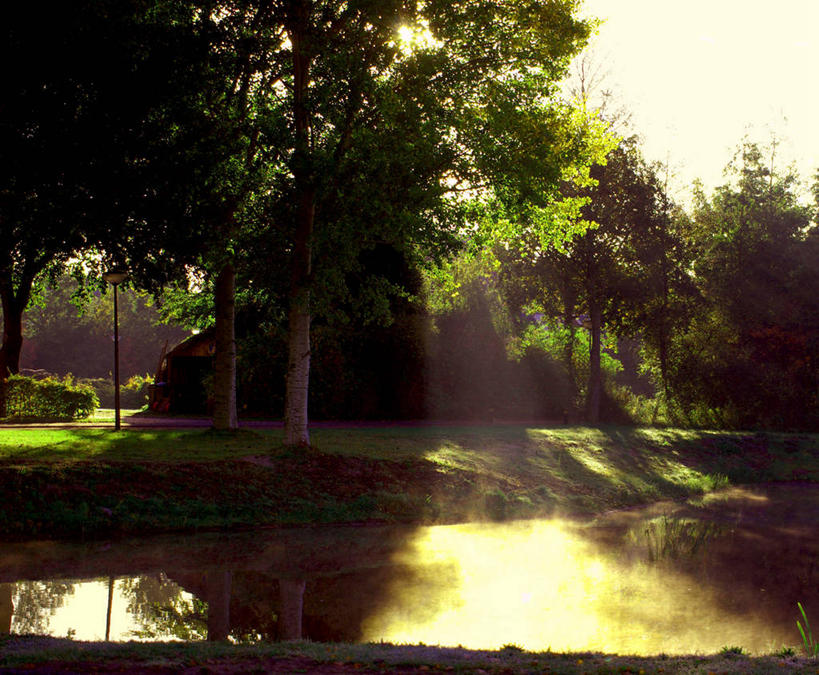 无人,横图,室外,白天,美景,日光,荷兰,反射,池塘,景观,草,树,自然,景色,摄影,宁静,环境,自然风光,旅行,海尔德兰