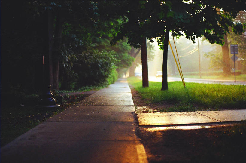 无人,横图,室外,白天,日落,路,汽车,美国,标志,小路,机动车,草,树,自然,黄昏,运输,摄影,环境,交通标志