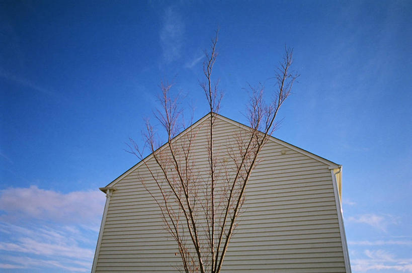 无人,横图,室外,白天,仰视,建筑,美国,云,郊区,天空,自然,摄影,环境,住房,维吉尼亚,低角度拍摄,居住区,挨着