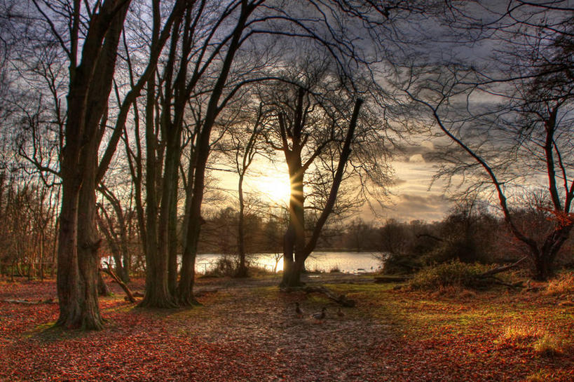 无人,横图,室外,湖,美景,太阳,日光,英国,景观,树,风景,天空,自然,黄昏,景色,摄影,宁静,自然风光,北欧,艾塞克斯大学,赫特福德郡,旅行,哈特菲尔德