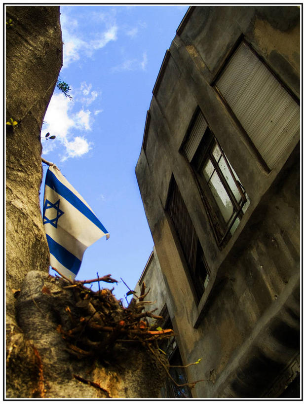无人,竖图,室外,白天,仰视,窗户,建筑,以色列,废弃,云,树干,天空,摄影,报废,废物,中东,丢弃,身份,放弃,抛弃,爱国主义,特拉维夫,摈弃,低角度拍摄,以色列国旗,屏弃,摈斥,摒除