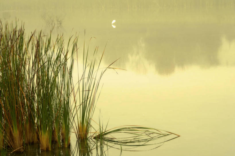 无人,横图,室外,白天,农业,草原,湖,美国,反射,田地,风景,自然,摄影,生长,宁静,环境