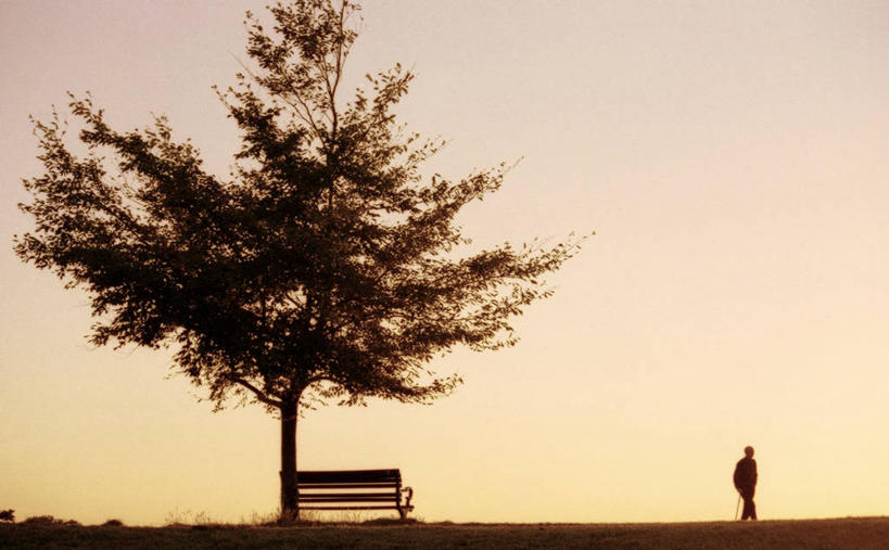 成年人,一个人,横图,室外,英国,仅一个男性,长椅,座位,树,天空,自然,黄昏,放松,摄影,环境,北欧,剪影,逆光,万里无云,布里斯托大学,步行,独处,布里斯托城