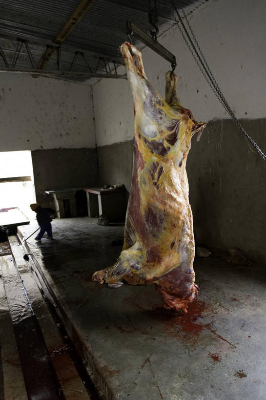 一个人,竖图,室内,白天,阿根廷,吊挂,悬挂,朦胧,模糊,肉,食品,挂,饮食,血液,南美,摄影,屠宰场,萨尔塔省