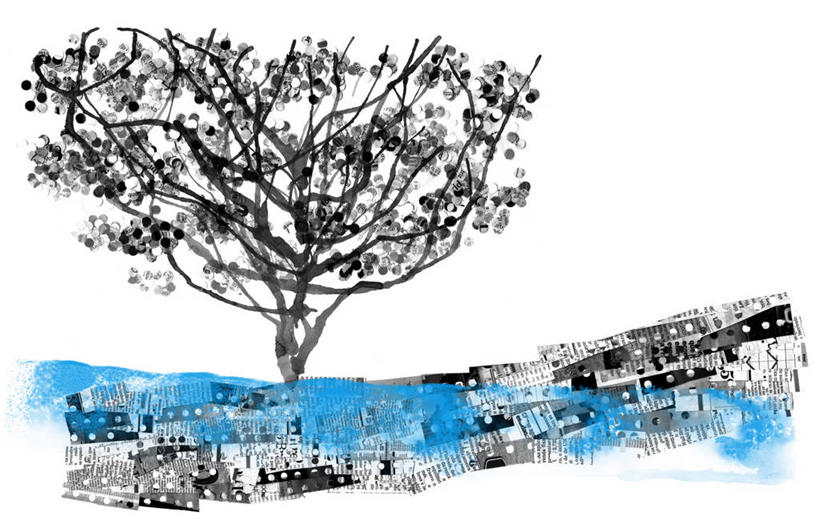 无人,横图,插画,室内,室外,白天,白色背景,数码,科技,河流,巴西,阴影,神话,网络,流水,高光,几何,计算机图形,合成,图画,画,树,白色,自然,南美,生长,环境,电脑合成图,数码合成图,合成图,漫画,希腊神话,月桂树,写实,具体,具象,常绿树,圣保罗州,想法,影棚拍摄