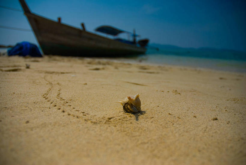 无人,横图,室外,白天,海洋,水,船,野生动物,泰国,亚洲,停靠,螃蟹,沙子,痕迹,天空,动物,运输,摄影,东南亚,停止,停泊,暂停,停滞,万里无云,泰王国,印度支那,甲米,甲米府,海滩,步行