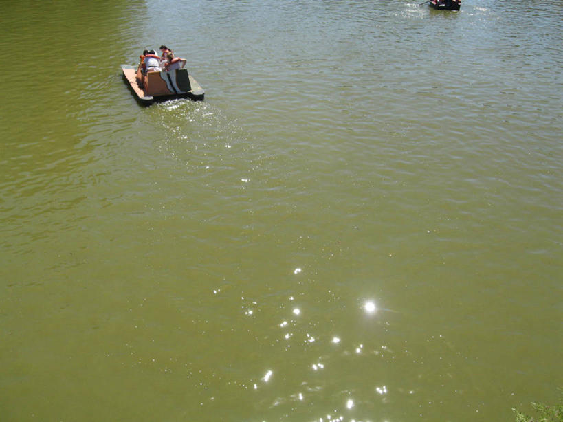 成年人,四个人,人群,横图,俯视,室外,白天,度假,湖,阿根廷,朦胧,模糊,漂浮,休闲装,衣服,南美,运输,摄影,近景,脚踏船,女人,女性,休闲活动,半身,高角度拍摄,旅行