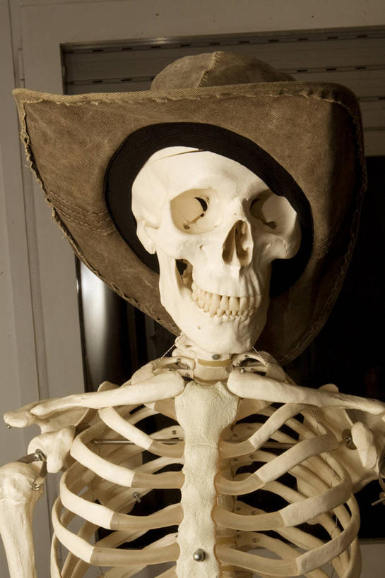 颅骨,骨骼,无人,竖图,室内,特写,白天,帽子,西班牙,巴塞罗那,科学,人头骨,骨头,一个,人体,摄影,单个,幽默,死亡,骨架,生物学,罪犯,伊比利亚半岛,结束,人体结构,巴塞罗那省