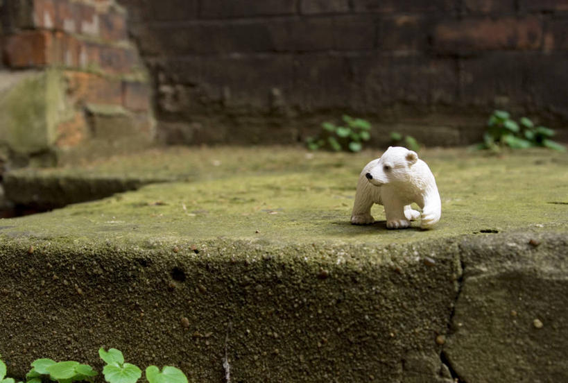 无人,横图,室外,白天,北极熊,熊,英国,欧洲,伦敦,苔藓,首都,动物,摄影,西欧,北欧,大不列颠,大不列颠及北爱尔兰联合王国,大不列颠及爱尔兰联合王国,雾都,大不列颠王国,大英帝国,联合王国,日不落帝国