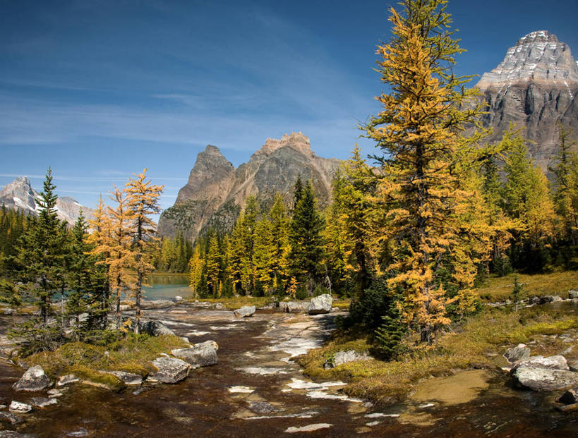无人,横图,室外,白天,湖,河流,美景,山,山脉,加拿大,高原,景观,流水,山顶,宏伟,风景,天空,小溪,自然,景色,摄影,宁静,环境,国家公园,自然风光,落叶树,落叶松,幽鹤国家公园,大不列颠哥伦比亚,岩石,秋天,旅行,教堂山