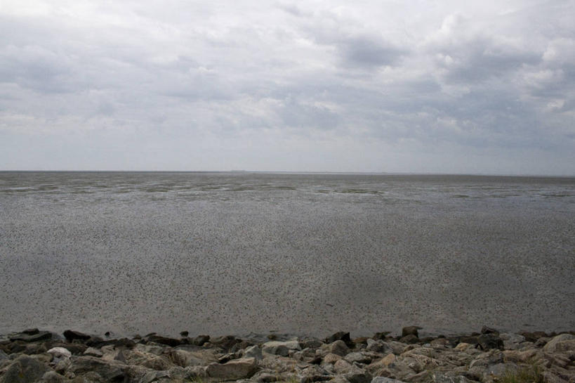 无人,横图,室外,白天,海洋,美景,水,德国,欧洲,荷兰,地平线,景观,水平线,云,风景,天空,自然,景色,摄影,宁静,西欧,自然风光,中欧,德意志联邦共和国,荷兰王国,尼德兰王国,石荷州,石勒苏益格.荷尔斯泰因,石勒苏益格.荷尔斯泰因州,岩石,旅行,瓦登海