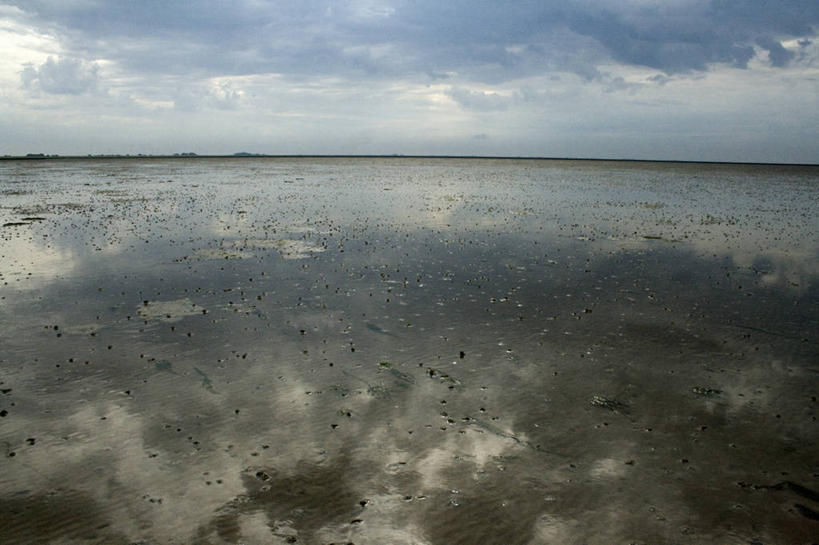 无人,横图,室外,白天,海洋,美景,水,德国,欧洲,荷兰,反射,地平线,景观,水平线,云,风景,天空,自然,景色,摄影,宁静,西欧,自然风光,中欧,德意志联邦共和国,荷兰王国,尼德兰王国,旅行,瓦登海