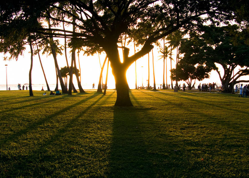 横图,室外,度假,美景,日落,棕榈树,日光,美国,阴影,景观,休闲装,草,树,衣服,风景,自然,黄昏,景色,摄影,宁静,环境,气候,热带气候,自然风光,大洋洲,剪影,逆光,瓦胡岛,夏威夷群岛,比格岛,威基基,太平洋岛屿,海滩,旅行