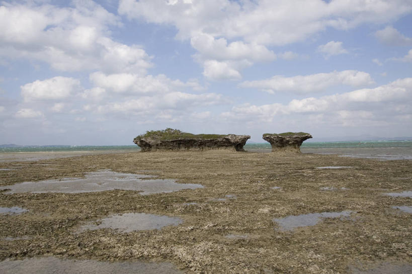 无人,横图,室外,白天,海洋,水,野生动物,日本,日本文化,珊瑚,地平线,水平线,云,天空,自然,摄影,生长,退潮,宁静,环境,冲绳县,东亚,刺胞动物,九州,潮汐,海滩,岩石,旅行