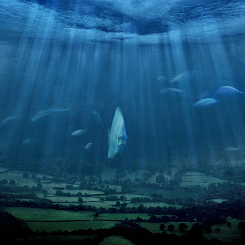 无人,机场,方图,室外,白天,旅游,度假,水下,海洋,美景,水,哺乳动物,野生动物,日光,英国,一群,许多,丰富,艺术,鱼群,地形,景观,水面,首都,很多,娱乐,鱼类,草,树,自然,动物,享受,休闲,景色,放松,摄影,环境,文学,自然风光,北欧,萨里市,盖特威克机场,超现实主义,流派,艺术流派