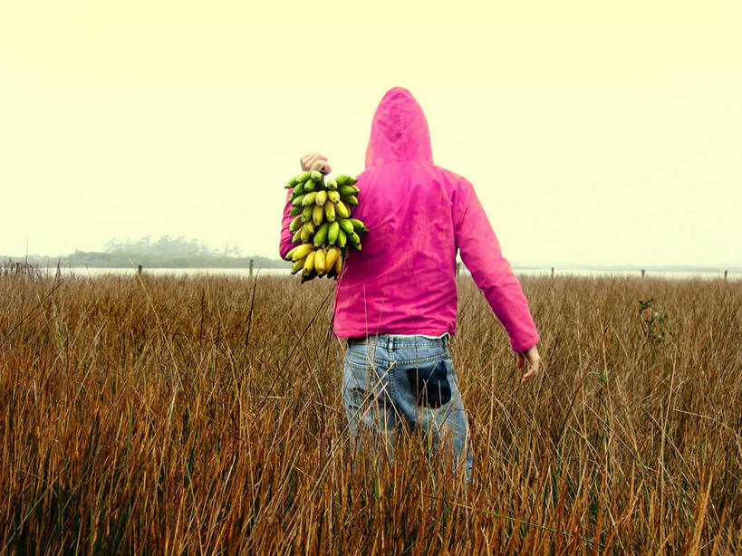 成年人,一个人,横图,室外,白天,农业,香蕉,水果,巴西,仅一个男性,田地,拿着,休闲装,饮食,草,背面,粉色,自然,南美,摄影,近景,万里无云,圣卡塔琳娜,步行,风帽,独处