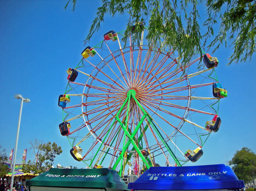 无人,横图,室外,白天,仰视,美国,枝,刺激,摄影,北美,北美洲,加利福尼亚,美洲,大转轮,万里无云,北亚美利加洲,亚美利加洲,休闲活动,彩图,低角度拍摄,美利坚合众国,回收桶