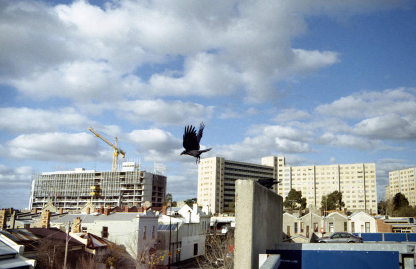 无人,横图,室外,白天,度假,美景,城市风光,城市,建筑,澳大利亚,房屋,景观,公寓,娱乐,飞,享受,休闲,景色,放松,摄影,乌鸦,墨尔本,澳大拉西亚,彩图