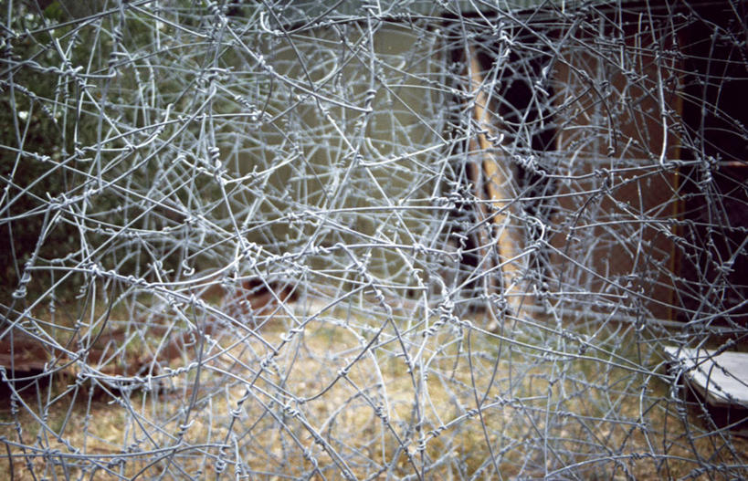 无人,横图,俯视,室外,白天,澳大利亚,缠绕,摄影,保护,墨尔本,澳大拉西亚,危险,彩图,高角度拍摄,混沌,带刺铁丝网