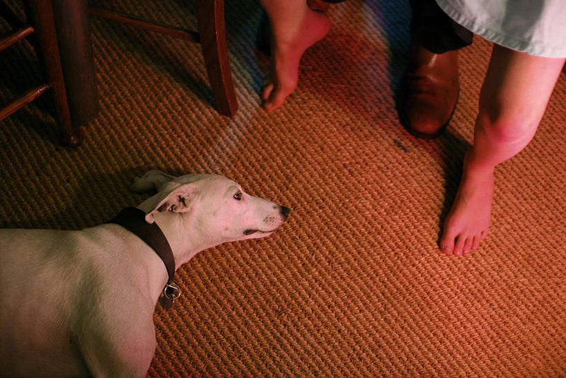 儿童,成年人,两个人,横图,白天,仰视,地板,宠物,狗,鞋子,英国,赤脚,放松,摄影,部分,侧卧,北欧,想法,男人,女孩,彩图,低角度拍摄