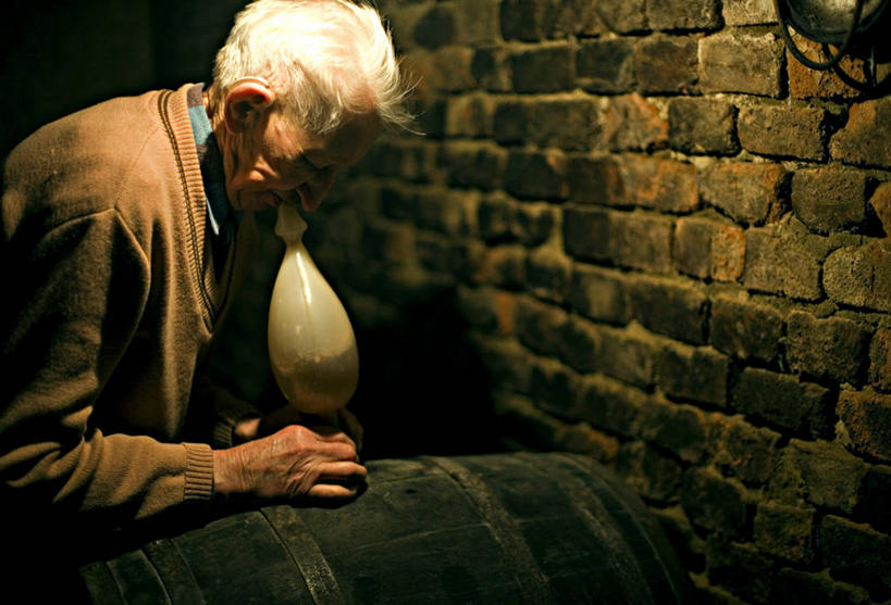 葡萄酒,成年人,老年人,头发,一个人,横图,室内,侧面,仅一个男性,仅一个人,喝,酒桶,拿着,砖墙,饮食,酒窖,仅一个老年男性,吸,摄影,鞠躬,品酒,匈牙利共和国,老年男性,男人,男性,半身,彩图,尝