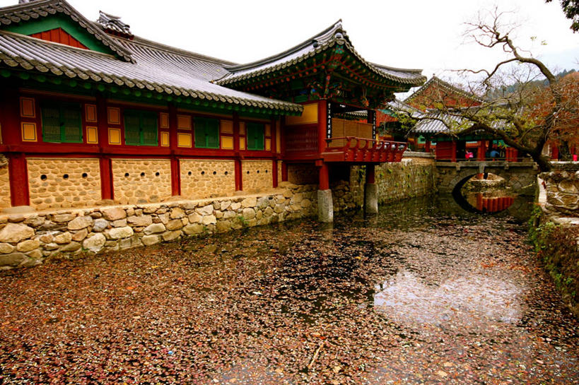 无人,横图,室外,白天,建筑,韩国,庭院,摄影,朝鲜半岛,古代文明,彩图