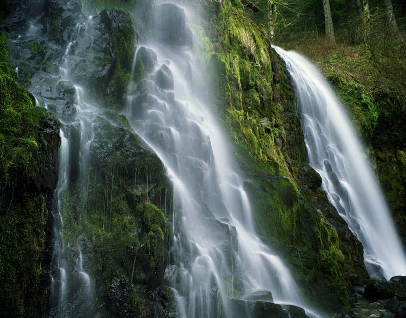 无人,横图,室外,白天,河流,瀑布,美国,流水,苔藓,风景,自然,摄影,环境,北美,北美洲,美洲,纯净,俄勒冈州,哥伦比亚河,北亚美利加洲,亚美利加洲,岩石,彩图,美利坚合众国