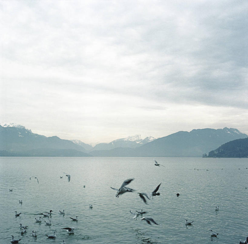 无人,横图,室外,白天,留白,自由,湖,山,山脉,野生动物,法国,许多,鸟类,很多,半空,飞,自然,摄影,宁静,环境,中欧,上萨瓦,彩图,安锡