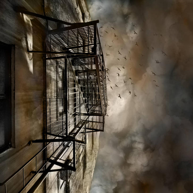 无人,方图,阶调图片,室外,多云,建筑,华盛顿,美国,一群,许多,鸟类,墙,乌云,很多,半空,飞,摄影,北美,北美洲,美洲,华盛顿州,西雅图,常绿之州,常青州,北亚美利加洲,亚美利加洲,彩图,防火梯,美利坚合众国