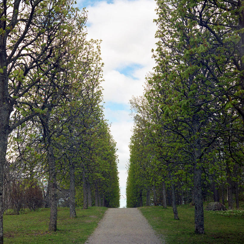 无人,公园,方图,室外,白天,瑞典,美国,小路,首都,春天,放松,摄影,宁静,北美,北美洲,德克萨斯州,透视图,美洲,德克萨斯,斯堪狄纳维亚半岛,得州,德州,得克萨斯州,孤星之州,北亚美利加洲,亚美利加洲,休斯敦,休斯顿,太空城,斯德哥尔摩省,彩图,县治,美利坚合众国,哈里斯县,牛沼城,林荫大道