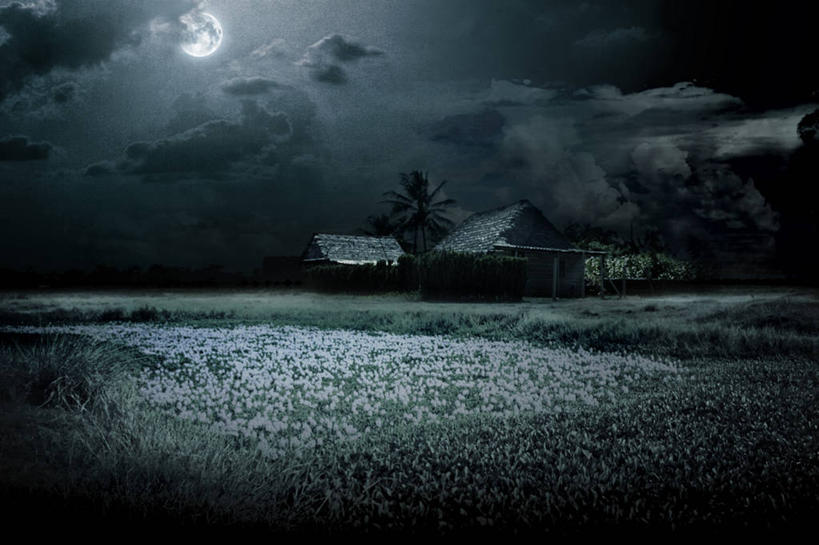 无人,横图,室外,夜晚,神秘,农业,古巴,田地,月亮,云,月光,天空,摄影,怪异,拉丁美洲,彩图