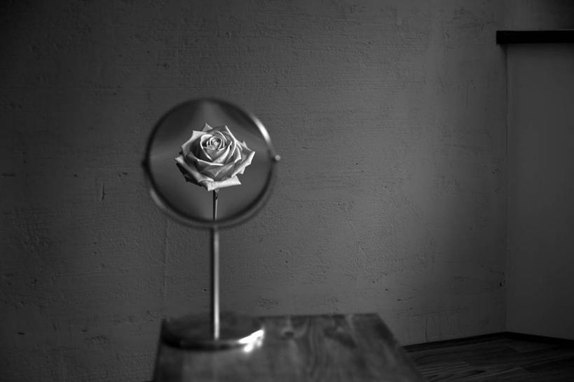 无人,横图,黑白,室内,镜子,桌子,玫瑰,反射,花,概念,摄影,创造力,想象,影棚拍摄