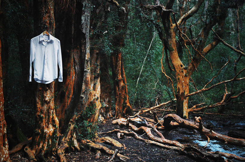 无人,横图,室外,白天,衬衫,时尚,神秘,异乎寻常,森林,衣架,阿根廷,吊挂,悬挂,根部,挂,树干,摄影,巴里洛切,彩图,损失