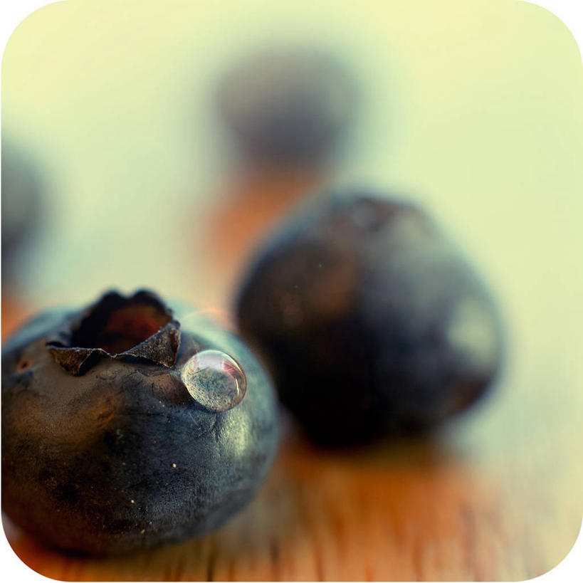 无人,方图,室内,特写,白天,水,桌子,蓝莓,静物,加拿大,水滴,摄影,清新,纯净,彩图,抗氧化剂