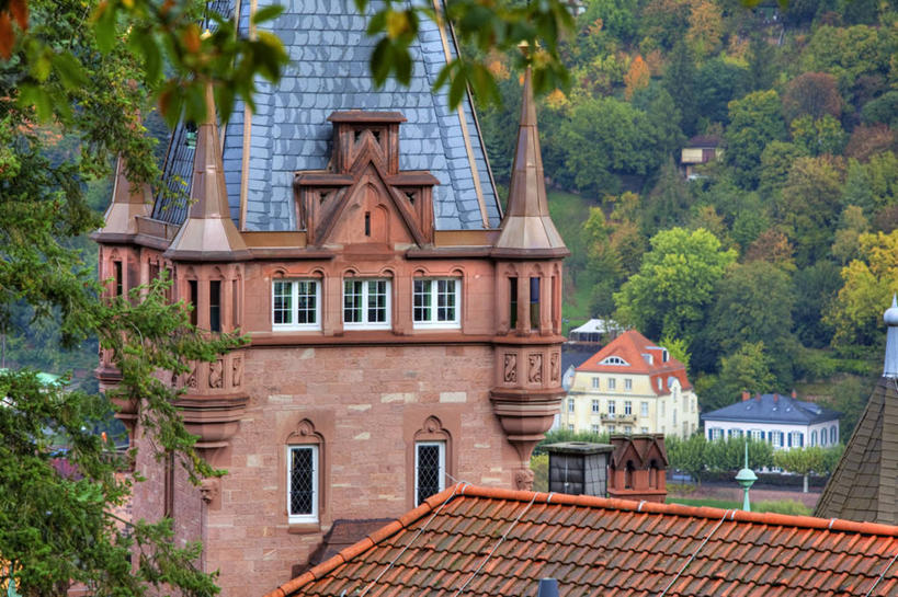 无人,横图,室外,白天,建筑,德国,屋顶,塔,枝,摄影,市政厅,德国文化,哥特式风格,海德堡,彩图,旅行