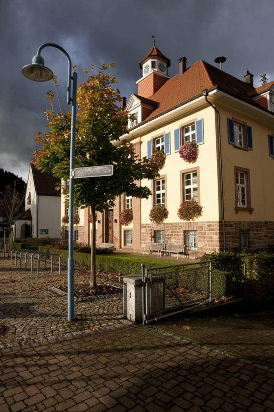 无人,竖图,室外,白天,多云,建筑,德国,灯笼,房屋,人行道,树,摄影,迷人,彩图,旅行