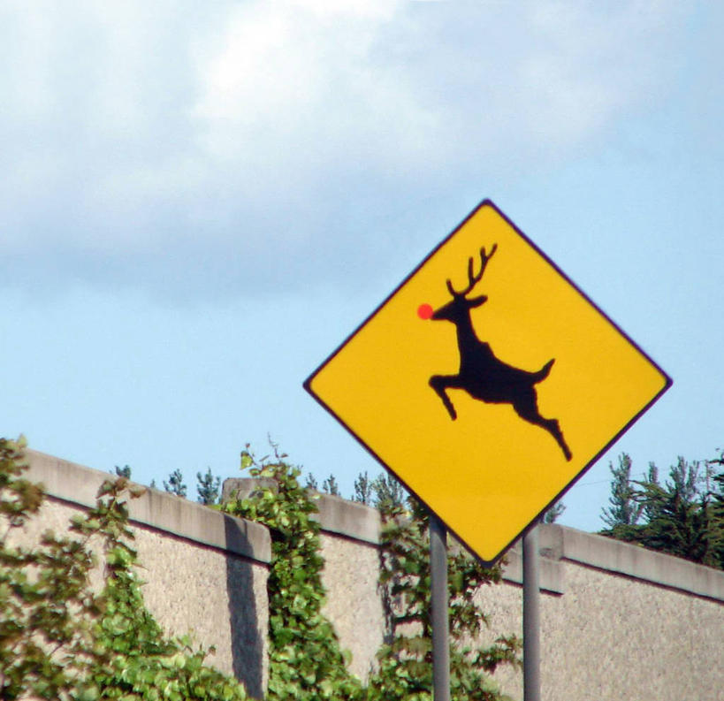 无人,横图,室外,白天,爱尔兰,圣诞节,围墙,常春藤,首都,天空,摄影,指导,幽默,小丑鼻,驯鹿,彩图