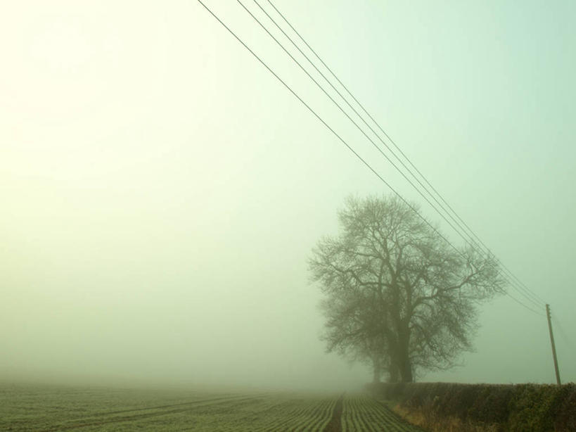 无人,横图,室外,白天,留白,神秘,美景,雾,英国,景观,田地,树,自然,电话线,景色,摄影,宁静,自然风光,彩图