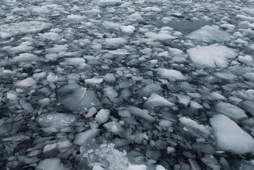 无人,横图,室外,白天,背景,美景,水,许多,漂浮,景观,冬天,海湾,很多,冰川,自然,景色,寒冷,摄影,自然风光,南极洲,彩图,全画面,全框架,全帧,全画幅,格雷厄姆岛